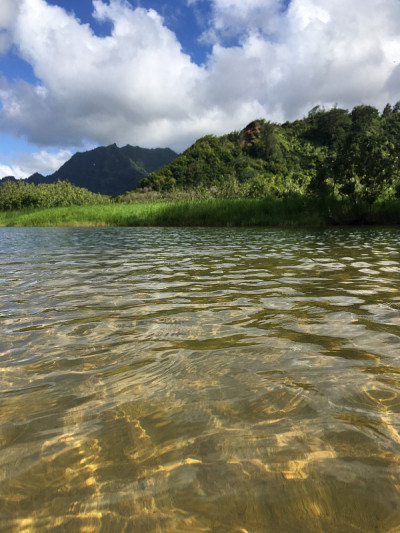 夏威夷考艾岛哈纳雷海湾的怀奥里河，进入太平洋。