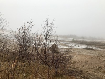 冰岛大Geysir地热区的秋冬景观:黄金圈的自然地标——泥、灌木、雾、沸水和冰