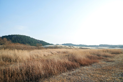 新都里海岸沙丘
