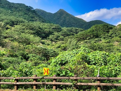 石垣岛美丽的自然风光