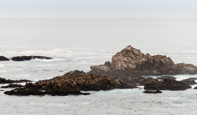 Point Lobos State Reserve