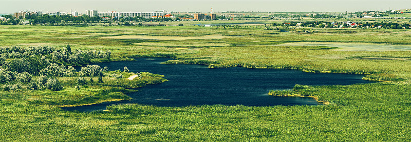 风景