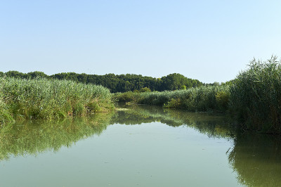 Mincio河
