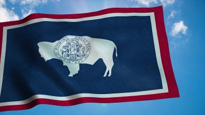 Wyoming flag on a flagpole waving in the wind, blu