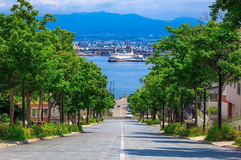 日本北海道函馆八幡坂坡