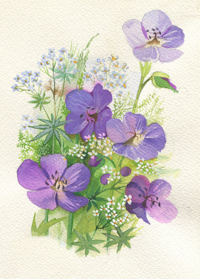 紫色的花