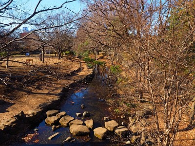 秋园川川源头
