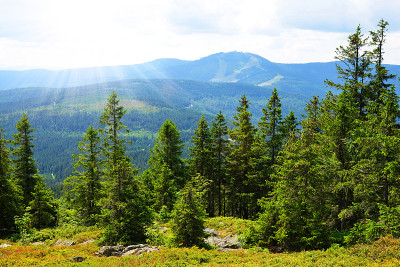国家公园Bayerischer Wald。德国。