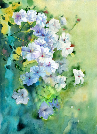 水彩白花。