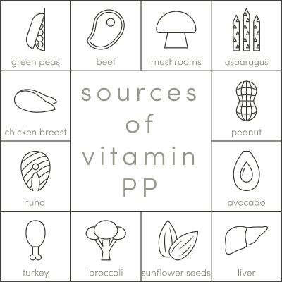 维生素PP向量