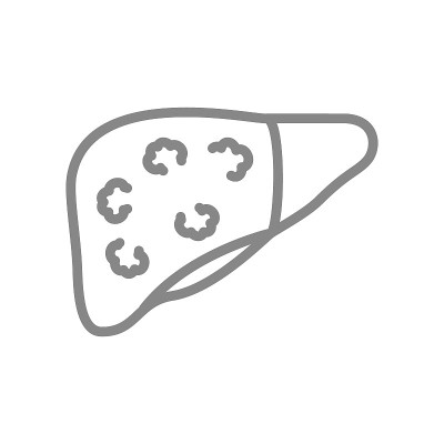 肝脏肿瘤线图标。肝癌消化器官疾病肝硬化的标志