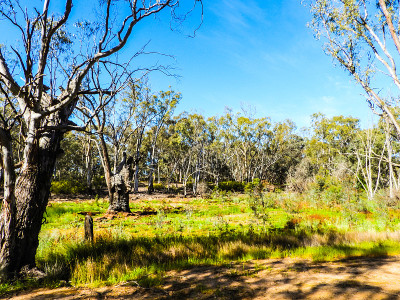 Echuca,维多利亚,澳大利亚