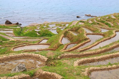 稻田梯田和岛石川日本。