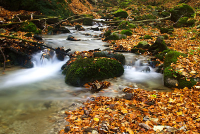 高山流水