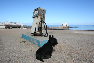 在Hondeklipbaai Scotty