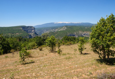 普罗旺斯Vaucluse地区的风景，背景是Ventoux山。法国