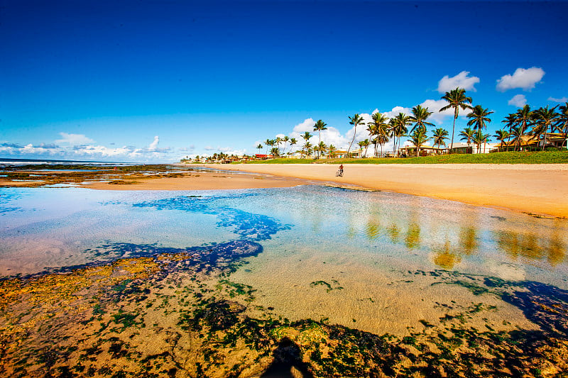 海滩在Lauro de Freitas Bahia