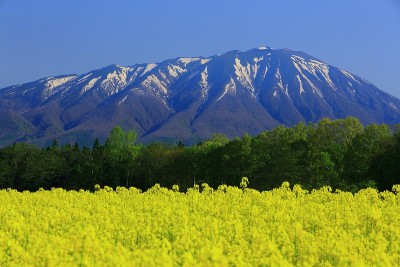 岩手山和奈花山