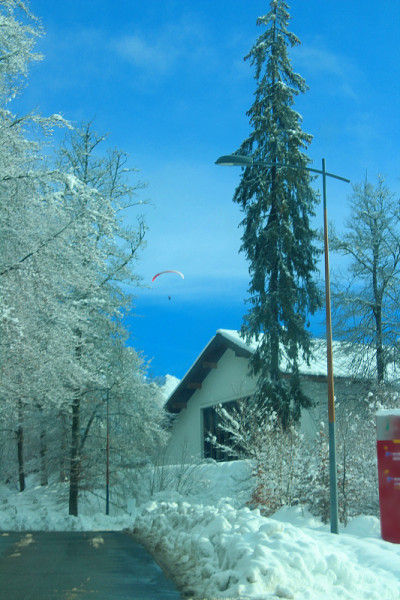 雪的风景