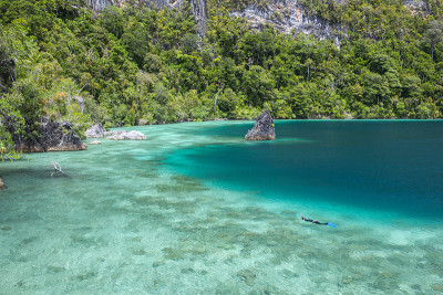 Raja Ampat热带泻湖和浮潜