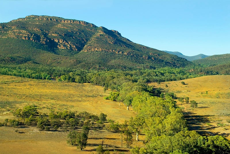 澳大利亚，SA, Wilpena