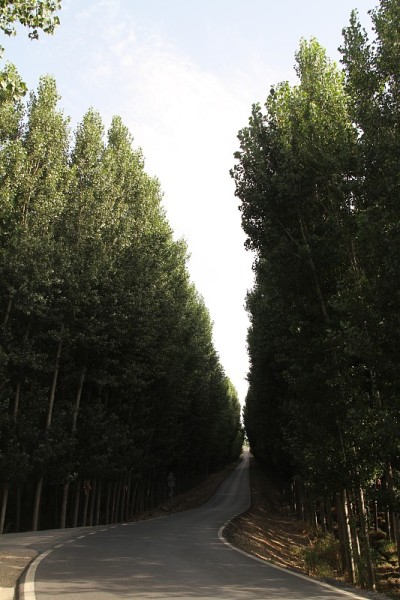 Guadix路