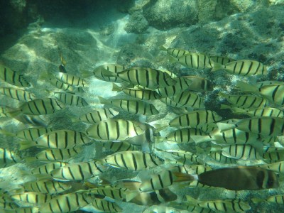 于湾学校