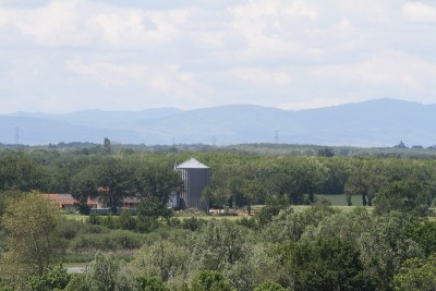 的Dombes