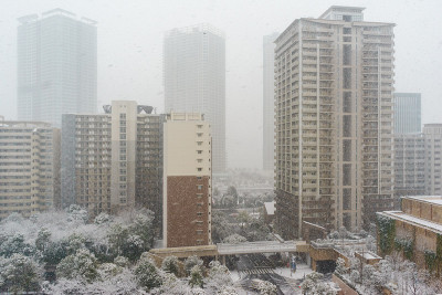 东京的雪