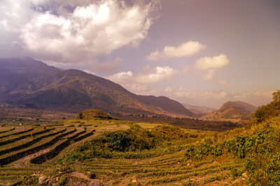 梯田式的山地农场景观。