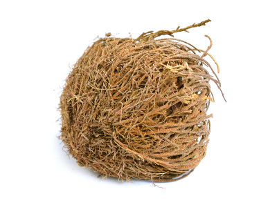 鳞片卷柏或鳞片石松干燥，分离。