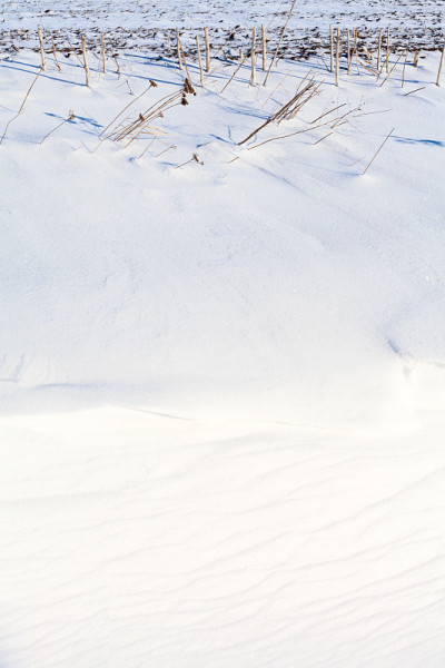 雪的山