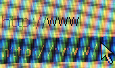 www