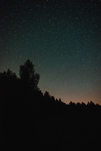 夏夜的夜空布满了银河的森林