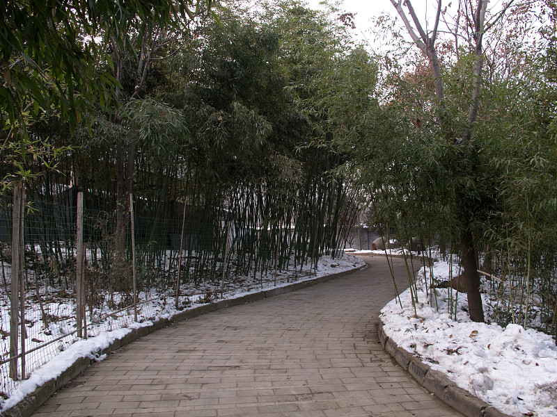 路