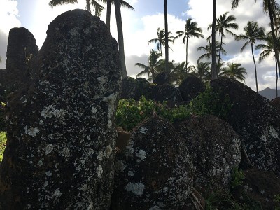 夏威夷考艾岛的春天Hikinaakala Heiau。