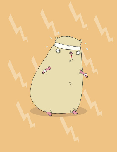 制订仓鼠