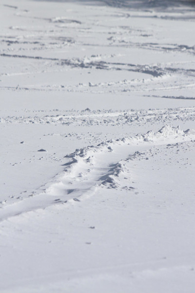 滑雪运行