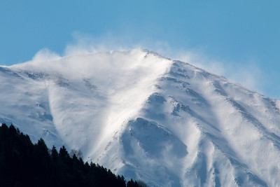 冬天，松树和雪山