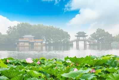 杭州西湖盛开的荷花和中国馆的建筑景观