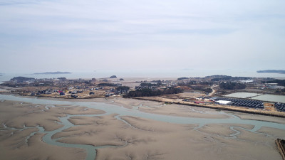 泥浆平