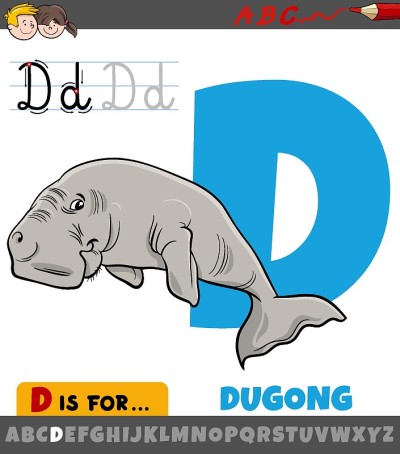 字母D与卡通海马动物角色