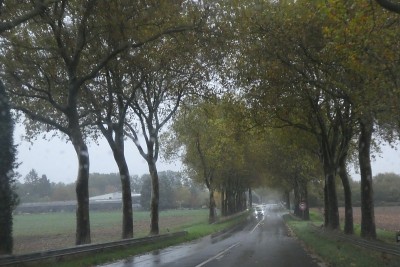 雨中的路