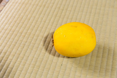 新鲜有机甜瓜