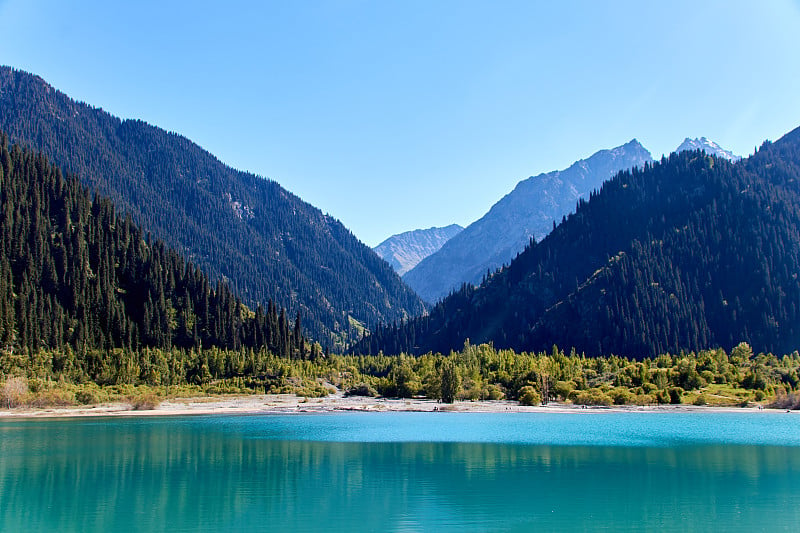 湖和覆盖着杉树的山脉的全景