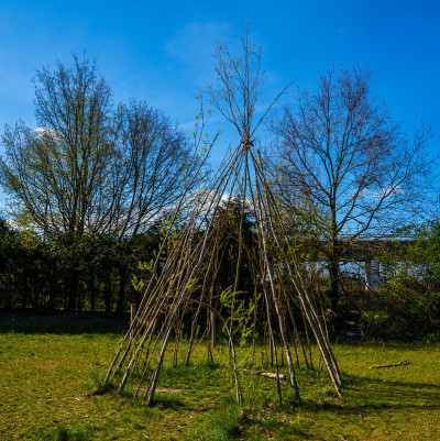 儿童小屋由生动的柳树