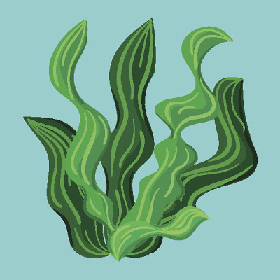 向量海藻