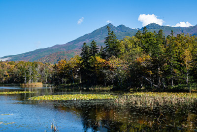 知子五湖(知子五湖)[第三湖]和知子山的秋叶，知子，北海道，日本