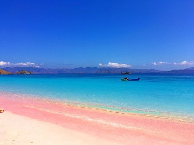 美丽的粉红色海滩和蓝色清澈的水来自科莫多岛(科莫多国家公园)，纳闽巴霍，弗洛雷斯，印度尼西亚