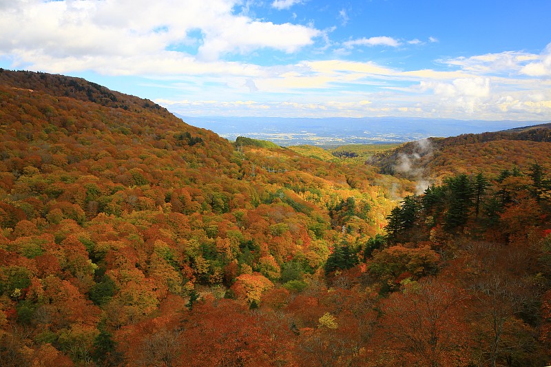 岩手县秋叶八幡斋